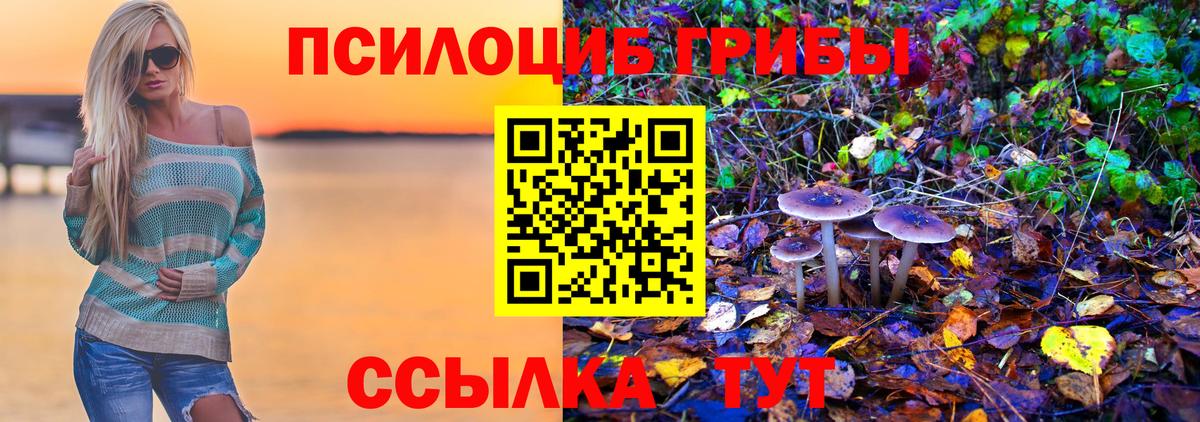 Псилоцибиновые грибы MAGIC MUSHROOMS Лыткарино